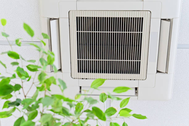 Best Local Air Duct Cleaning Services  in Plainwell, MI